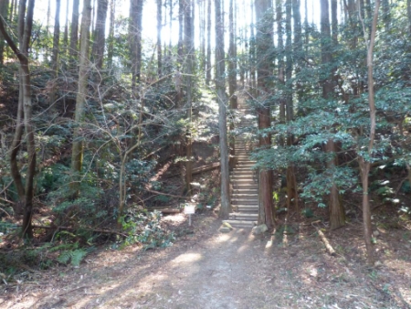 画像8